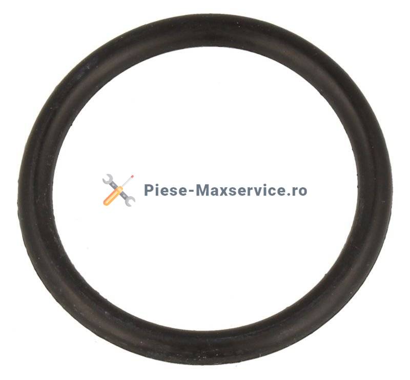 Garnitura O-Ring masina de spalat vase Hansa 